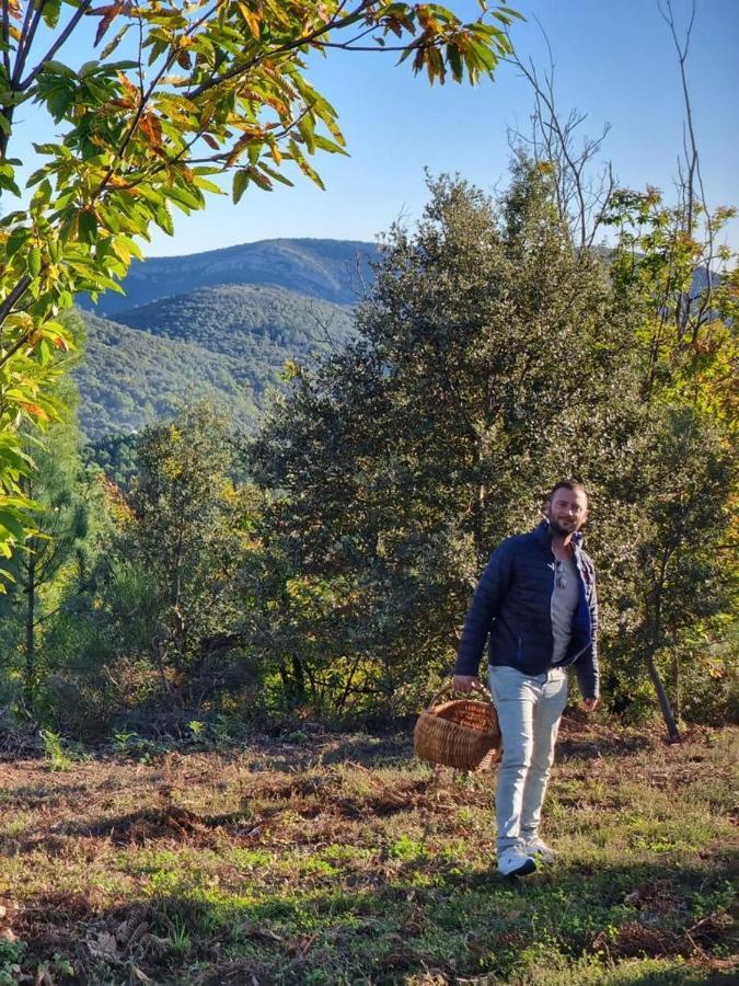 Les Hauts Du Marquet: Luxe 5-Star Gite with Infinity Pool in Cevennes Saint Jean du Pin Exterior photo